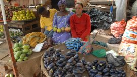 35939577034_c10086d727_b